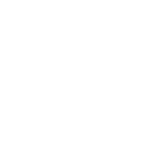 die-eisdealer
